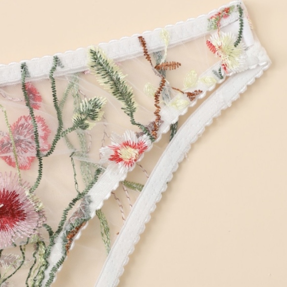 Floral Embroidered Mesh Sheer Panty - Picture 3 of 5